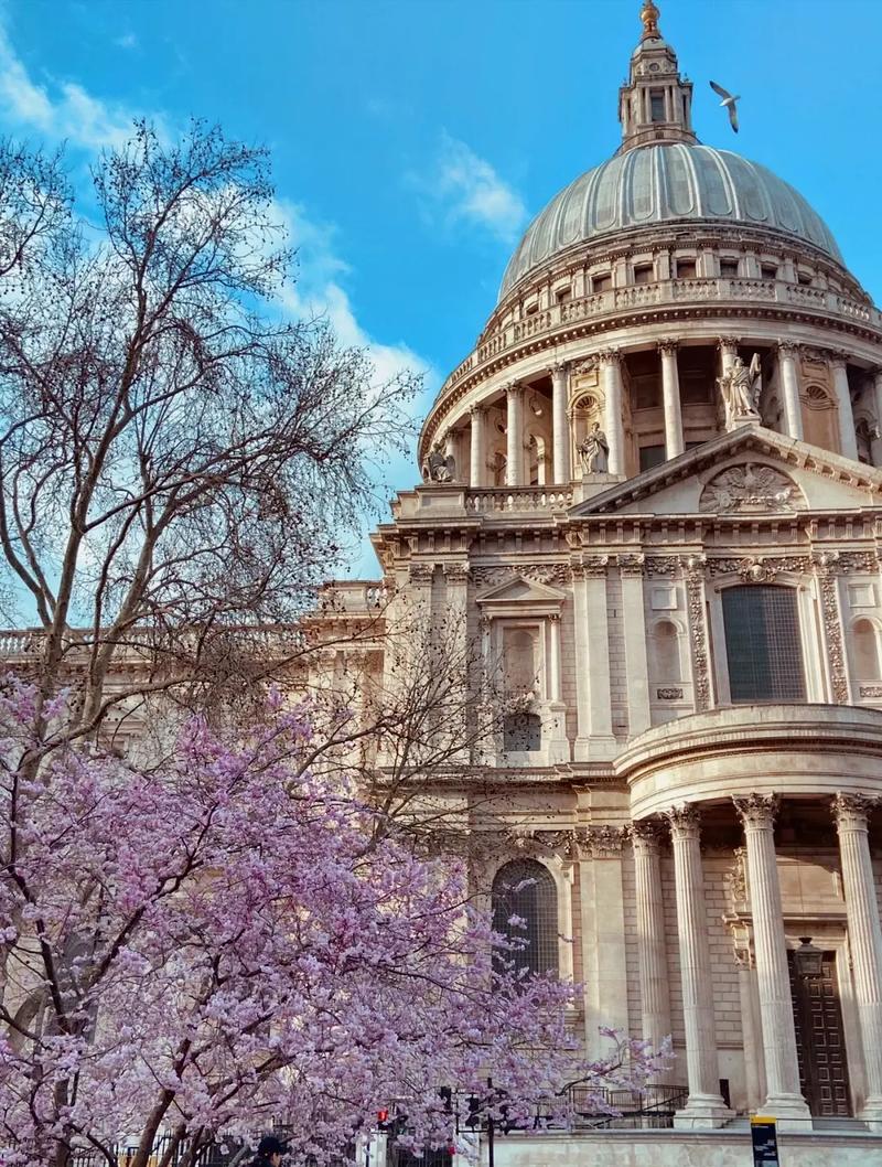 加州大学河滨分校